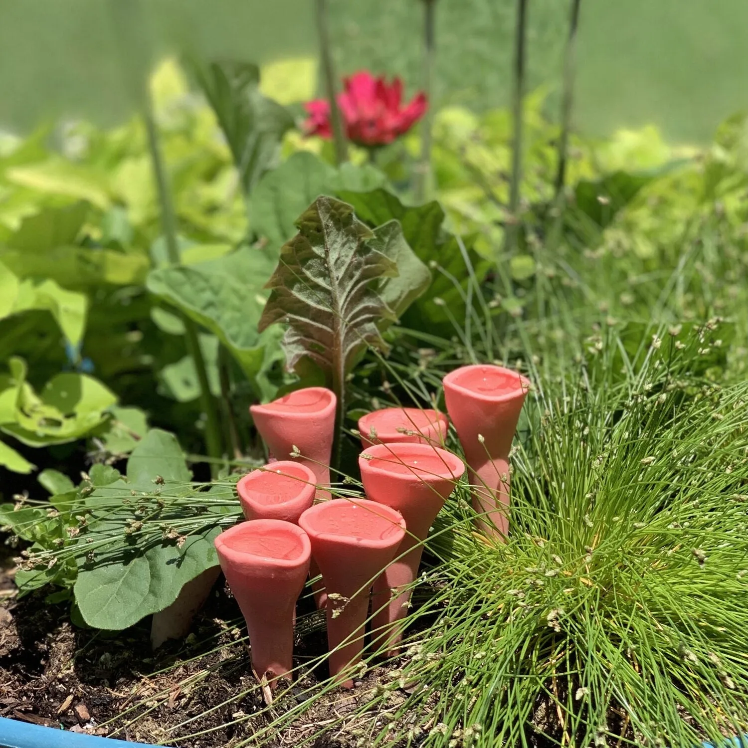 Bee Cups | Pack of 5 ONLINE EXCLUSIVE