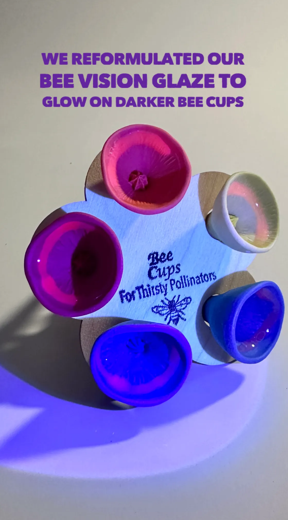 Bee Cups | Pack of 5 ONLINE EXCLUSIVE