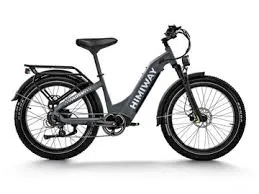HIMIWAY Premium All-Terrain Electric Fat Bike Zebra ST/ D5 ST