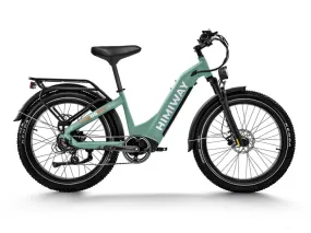 HIMIWAY Premium All-Terrain Electric Fat Bike Zebra ST/ D5 ST