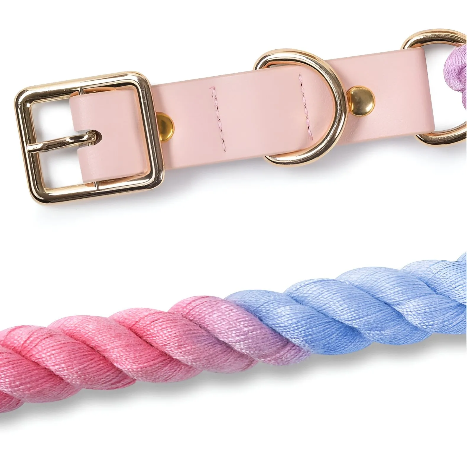 Loofie Colorful Dog Collar & Leash Set - Eco-Friendly, Vibrant, and Durable