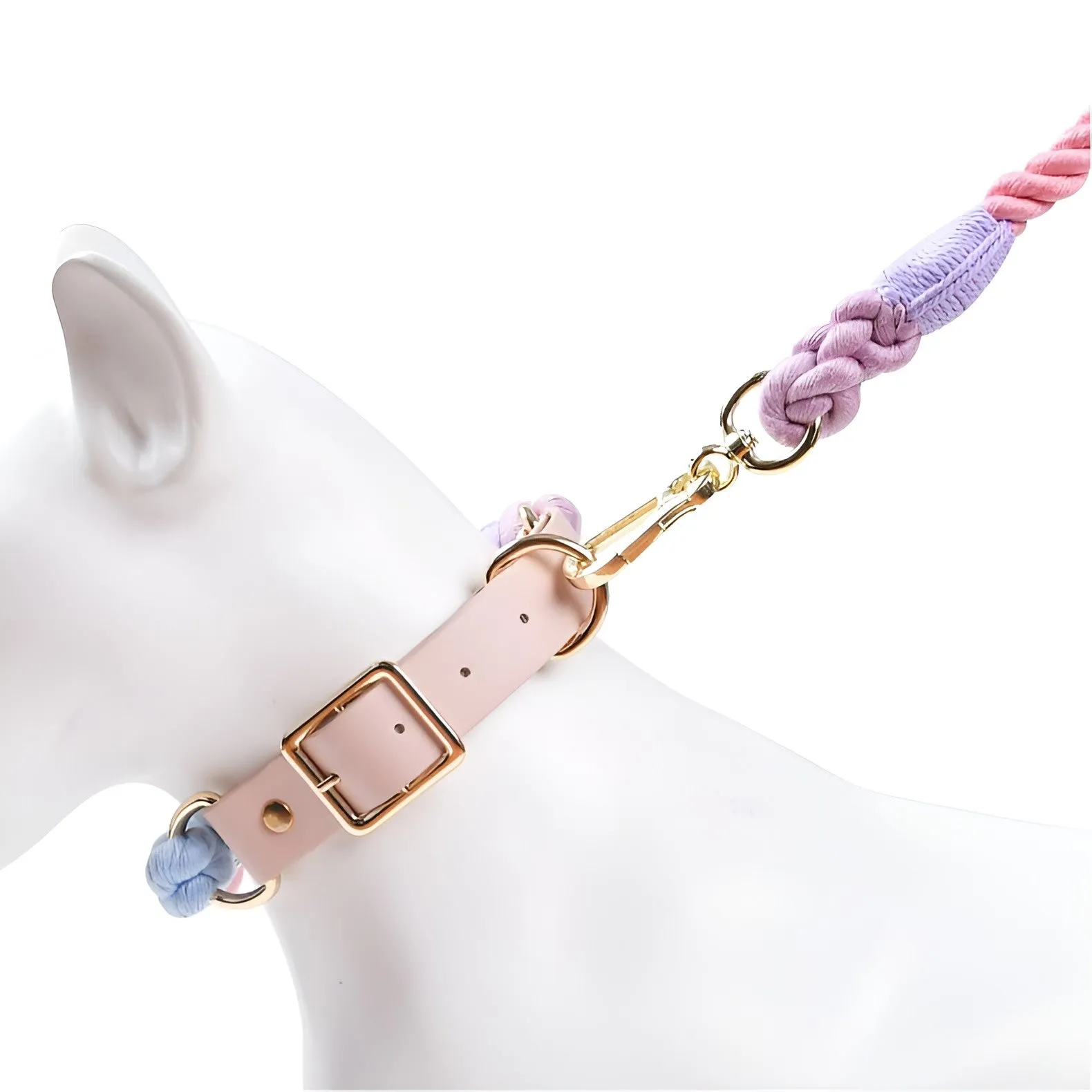 Loofie Colorful Dog Collar & Leash Set - Eco-Friendly, Vibrant, and Durable