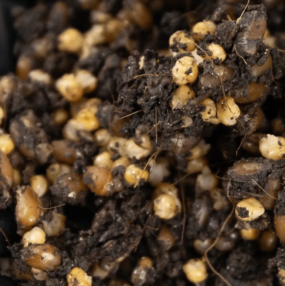 North Spore 'ShroomTek' All-In-One Mushroom Grow Bag