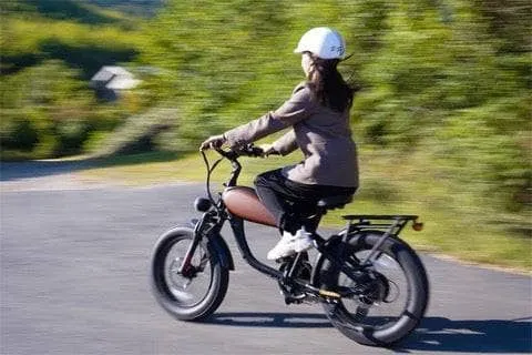 Revibikes Cheetah Mini 48V 500W