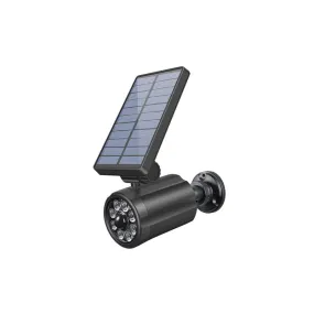 Solar Motion Sensor Light