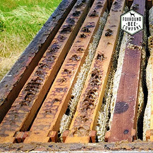 Universal Fume Board